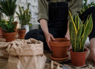 Urlaub zu Hause – So wird der Garten zur Wohlfühloase