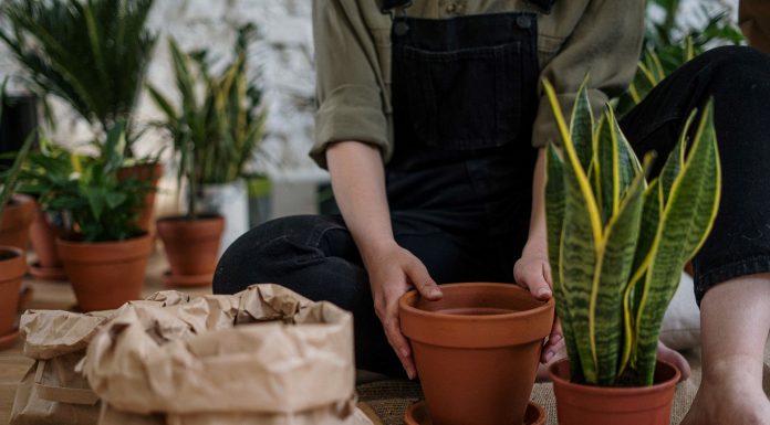 Urlaub zu Hause – So wird der Garten zur Wohlfühloase